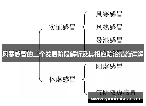 风寒感冒的三个发展阶段解析及其相应防治措施详解